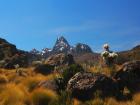 Mount Kenya