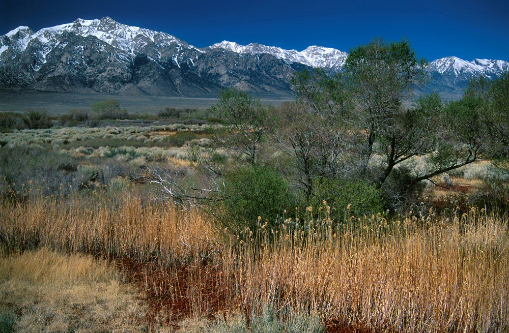 Alabama Hills