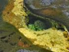 Olivine Pool