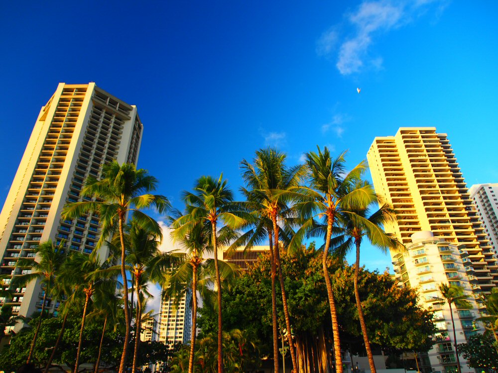 Waikiki