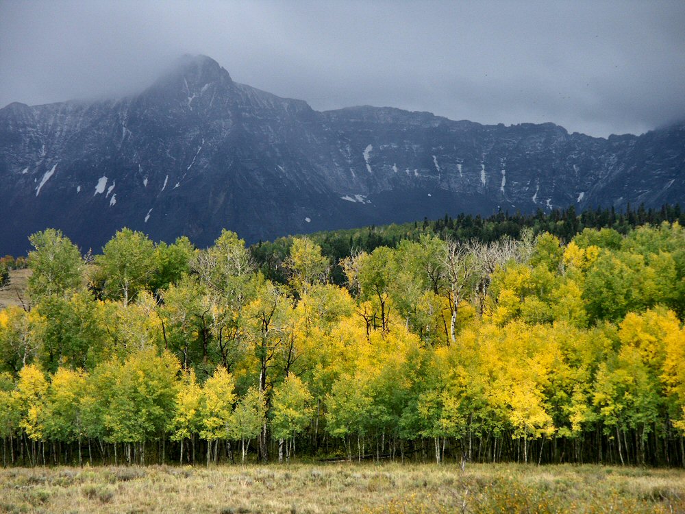 Color in Telluride, CO