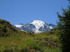 Petit combin fondant