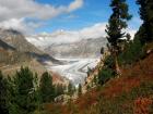 20190929_aletsch_02.JPG