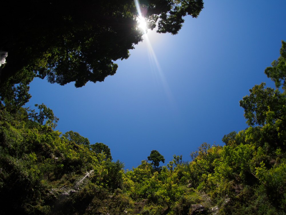 Upper Waikani fall