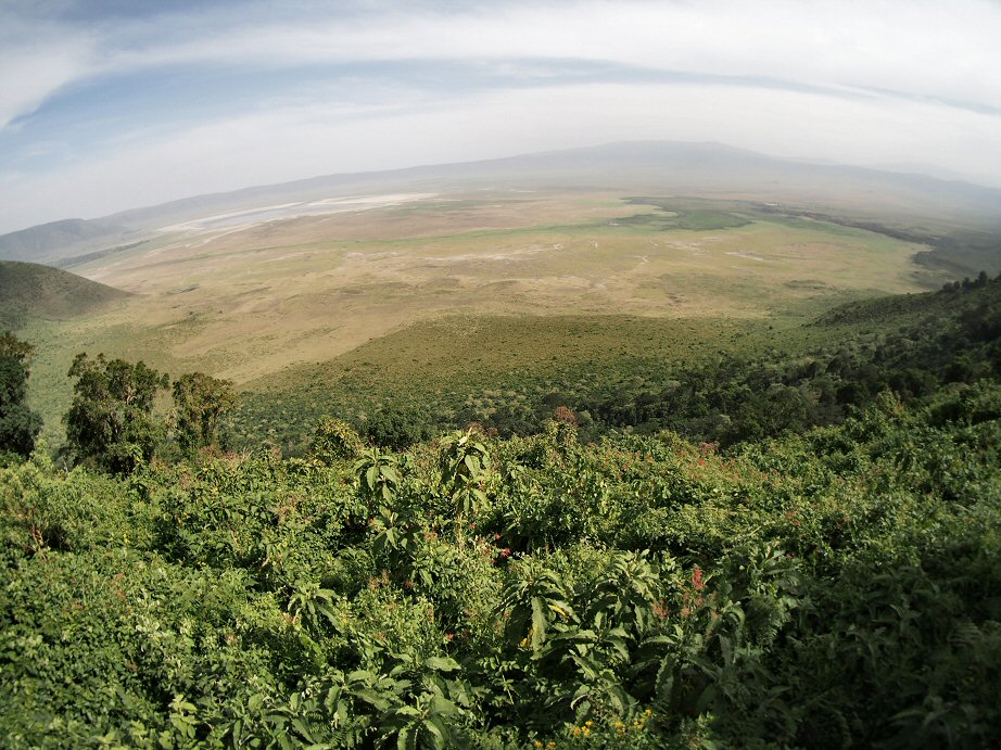 NgoroNgoro