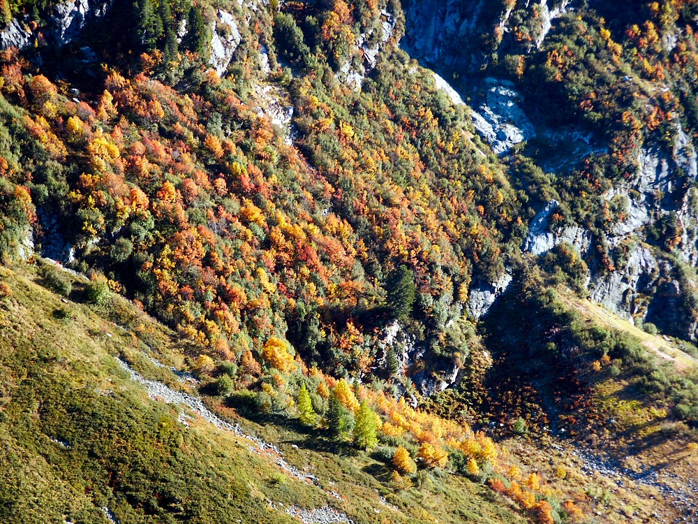 Vallon de Bérard