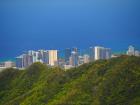 Jungle trail in Oahu