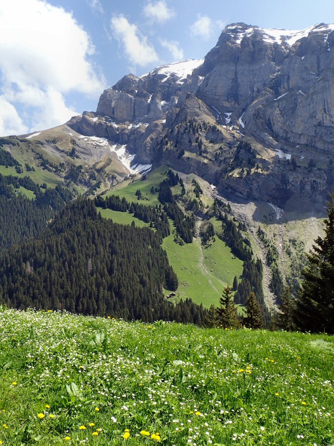 Le printemps est la!