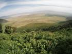 NgoroNgoro