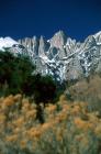 Mount whitney