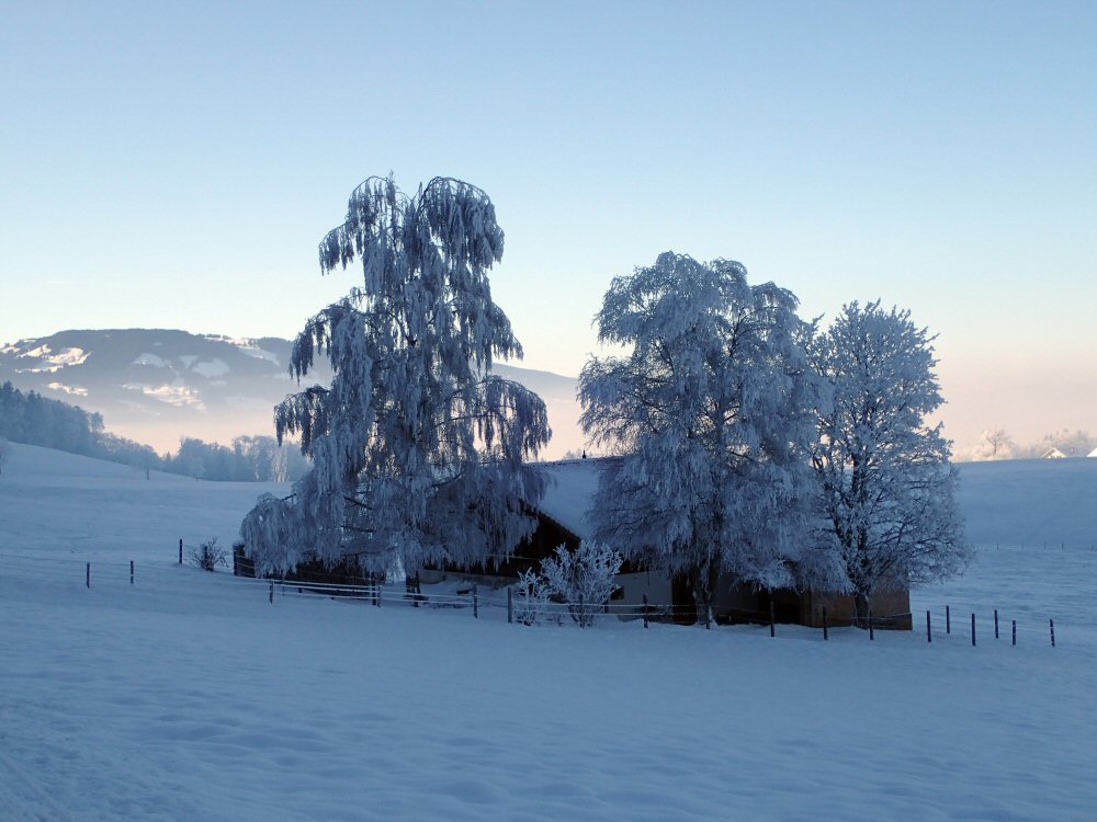 Larme de glace