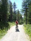 retour forestier sur St Moritz