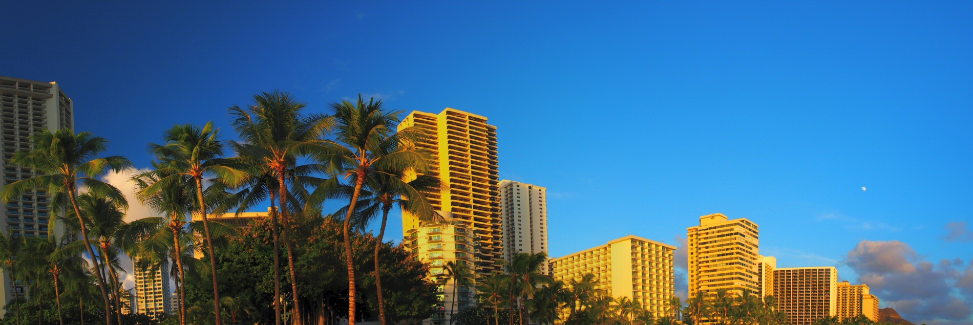 Pano waikiki