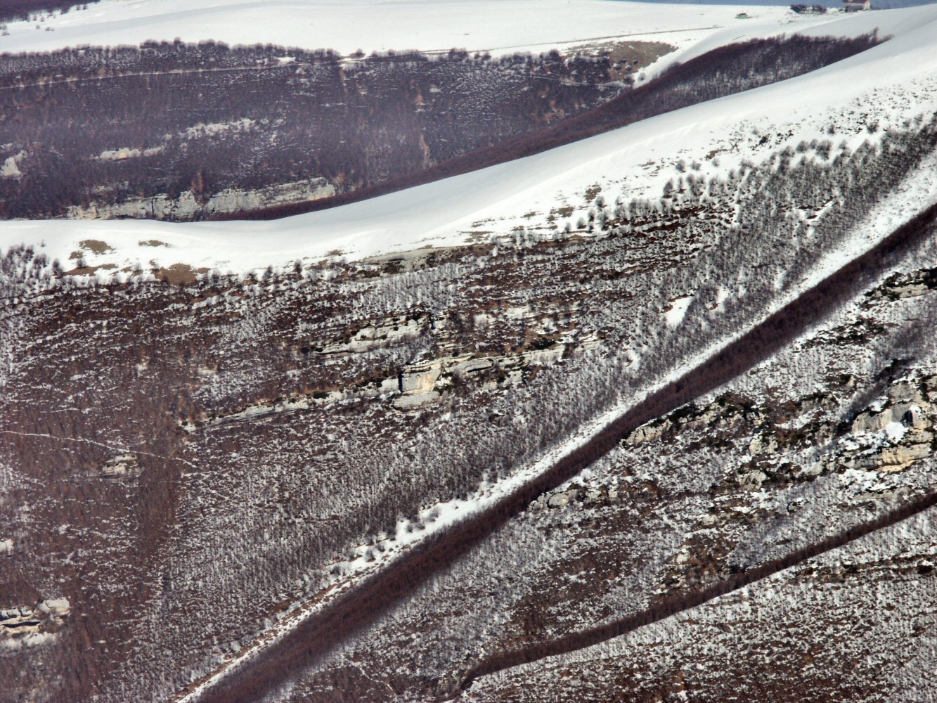 07 PESCOFALCONE 0233