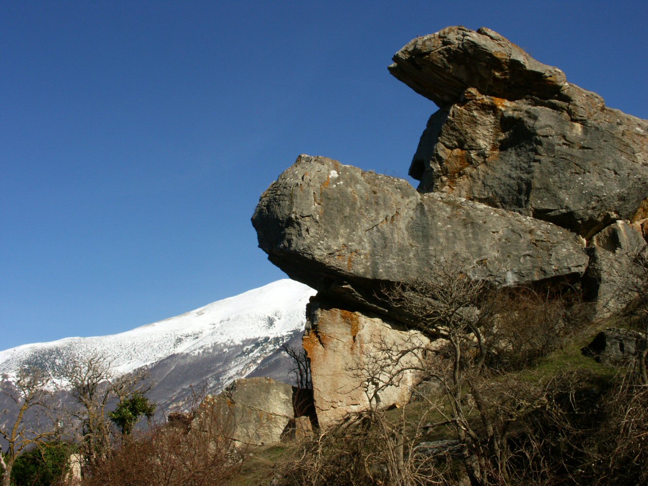 07 PESCOFALCONE 0265