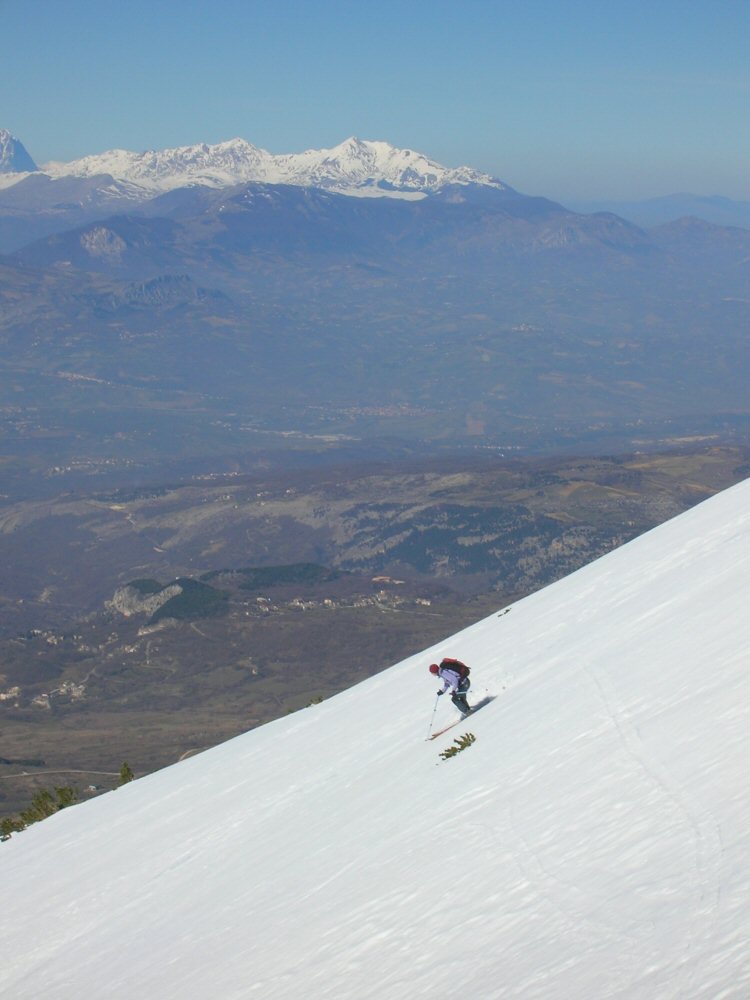 07 PESCOFALCONE 1406