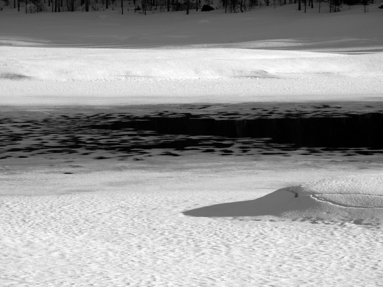 02 galdhoppigen 0018