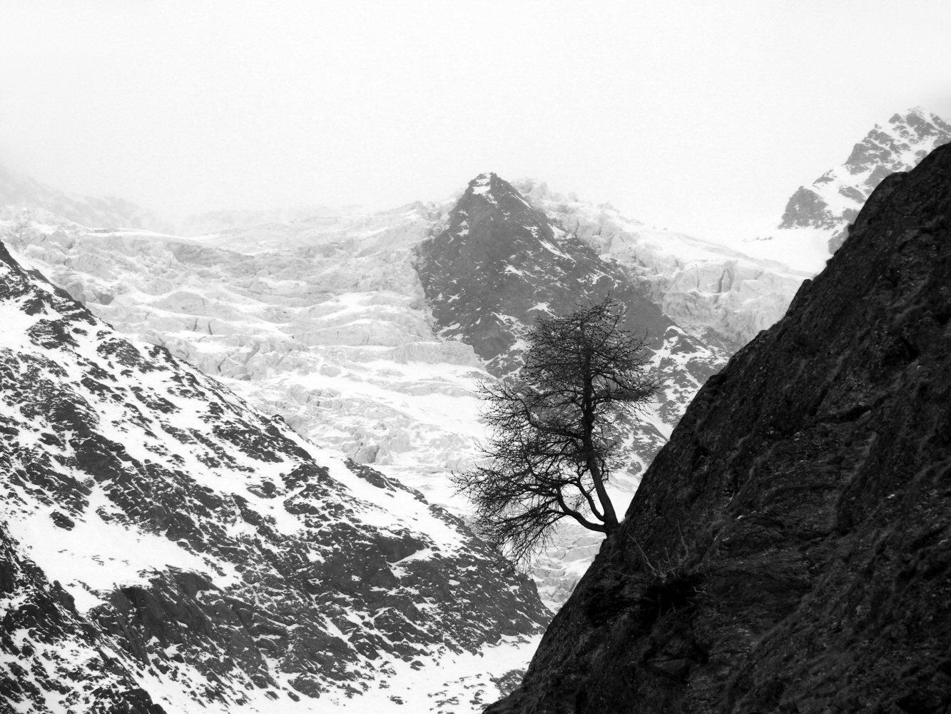 20260102 saasfee 1021088nb