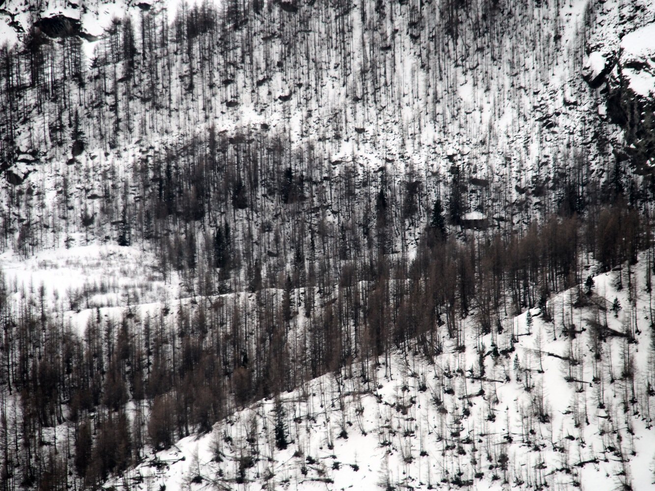 20260102 saasfee 1021101