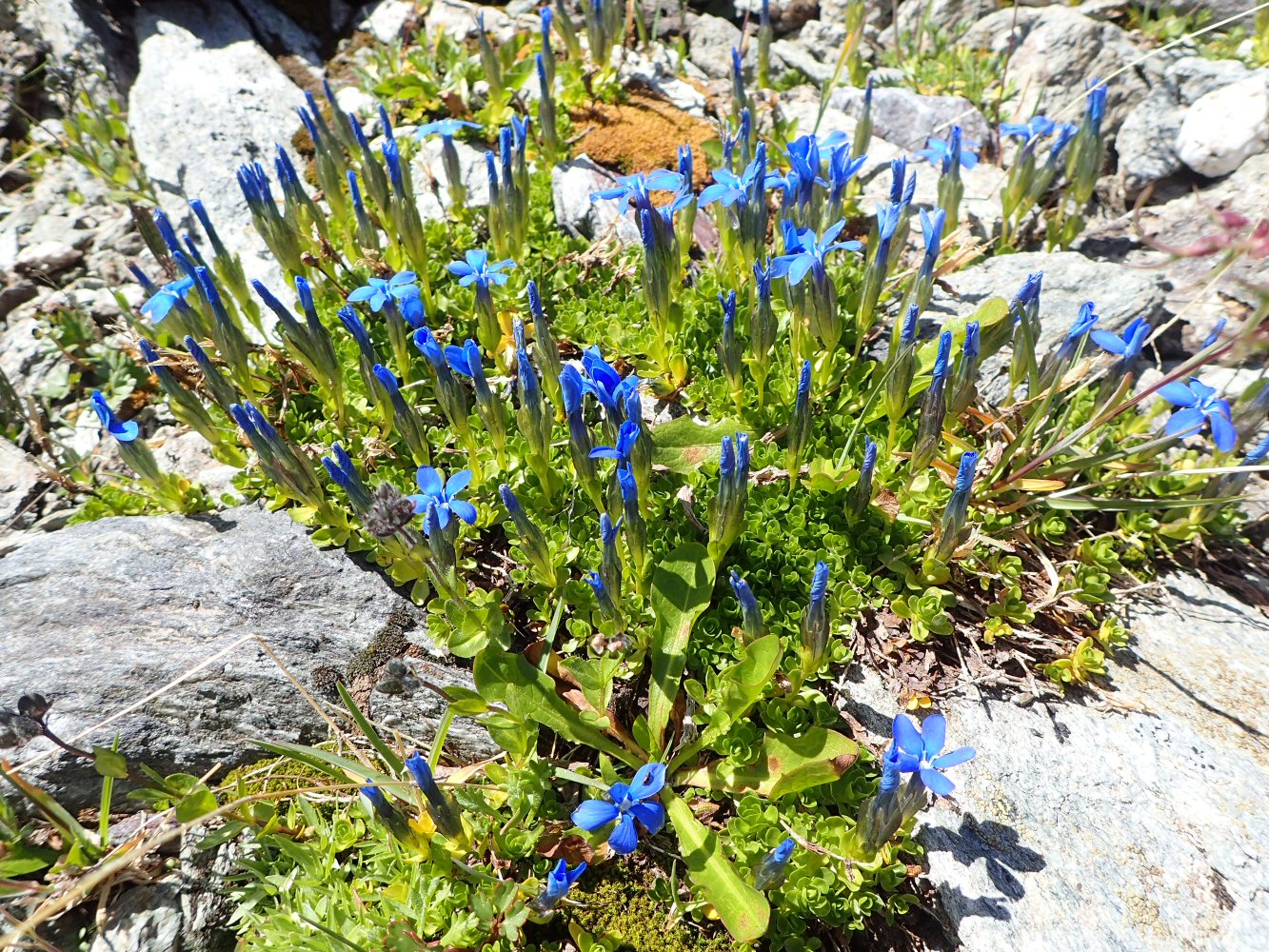 20260722 grevaslavas 7220160