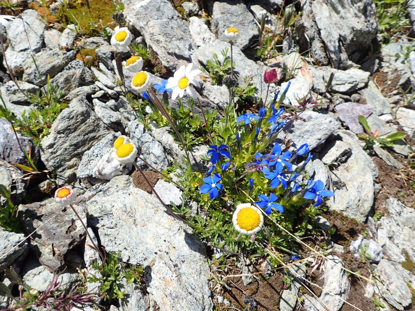 20260722 grevaslavas 7220161