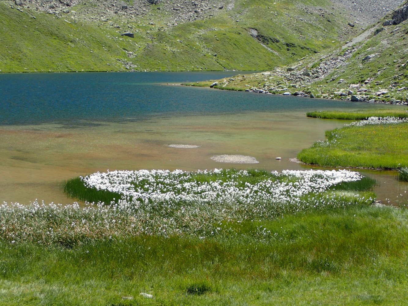 20260722 grevaslavas 7220166