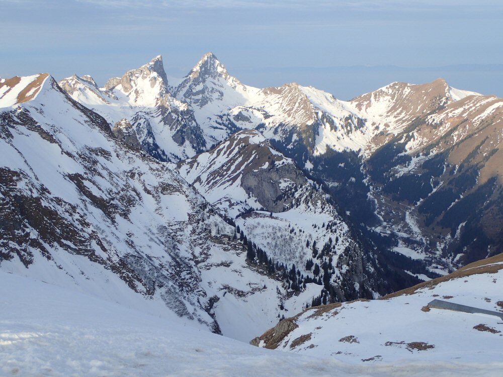 Merdinale au Grammont