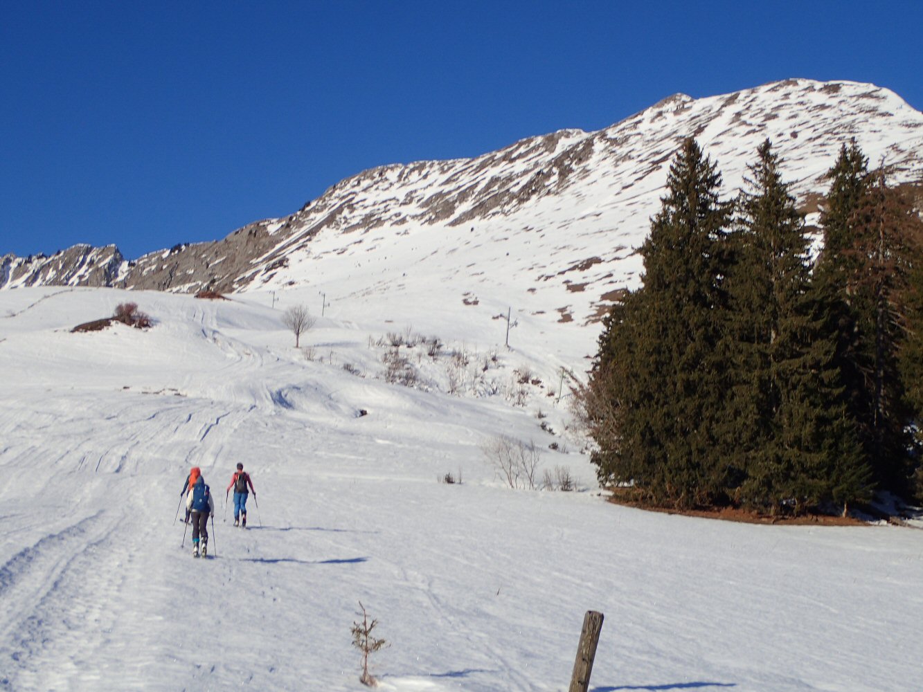 20251214 Gos Van 140001