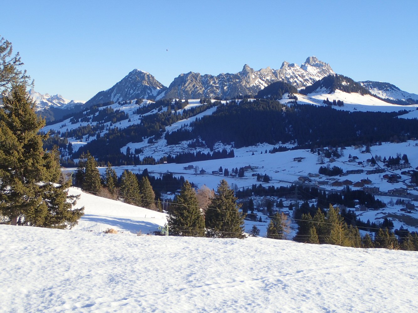 20251214 Gos Van 140002