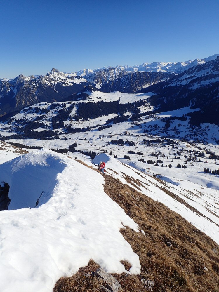 20251214 Gos Van 140011