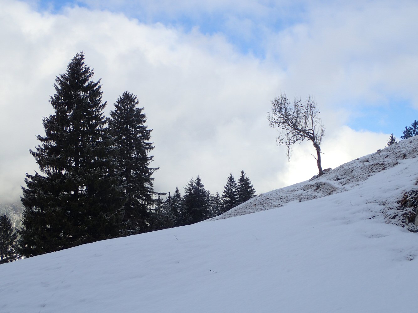 20260215 raid gstaad 2150042