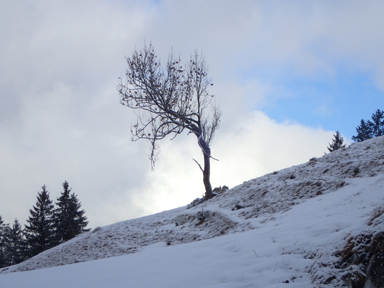 20260215 raid gstaad 2150043