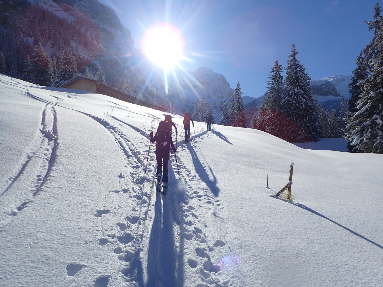 20260215 raid gstaad 2150050