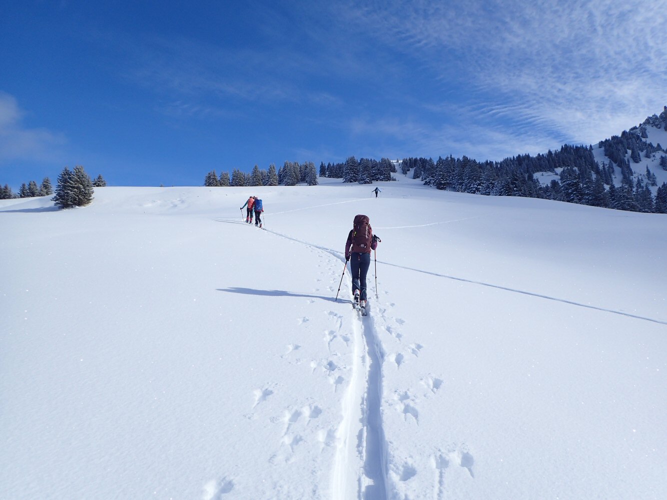 20260215 raid gstaad 2150054