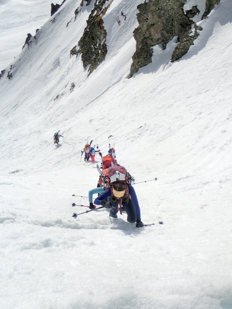 20260307 ref dent midi 3070001