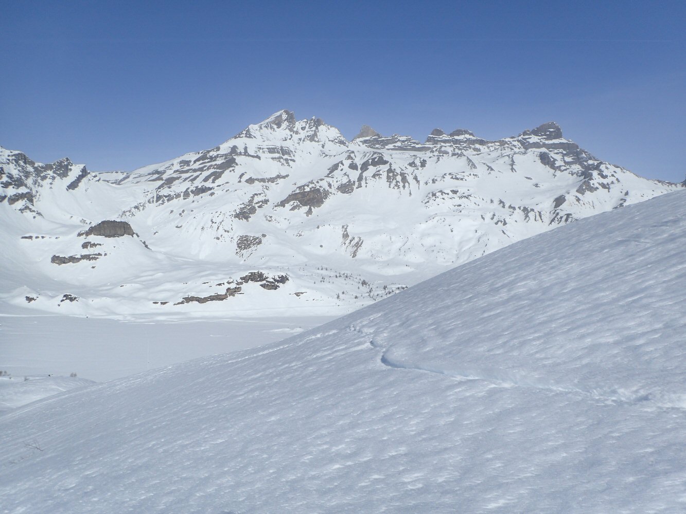 20260307 ref dent midi 3070011