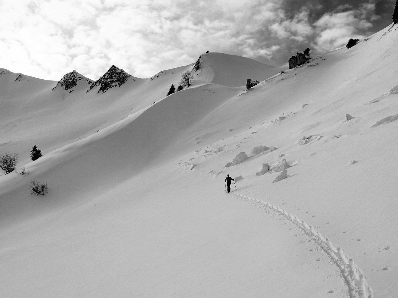 Trictoage vers Pavis