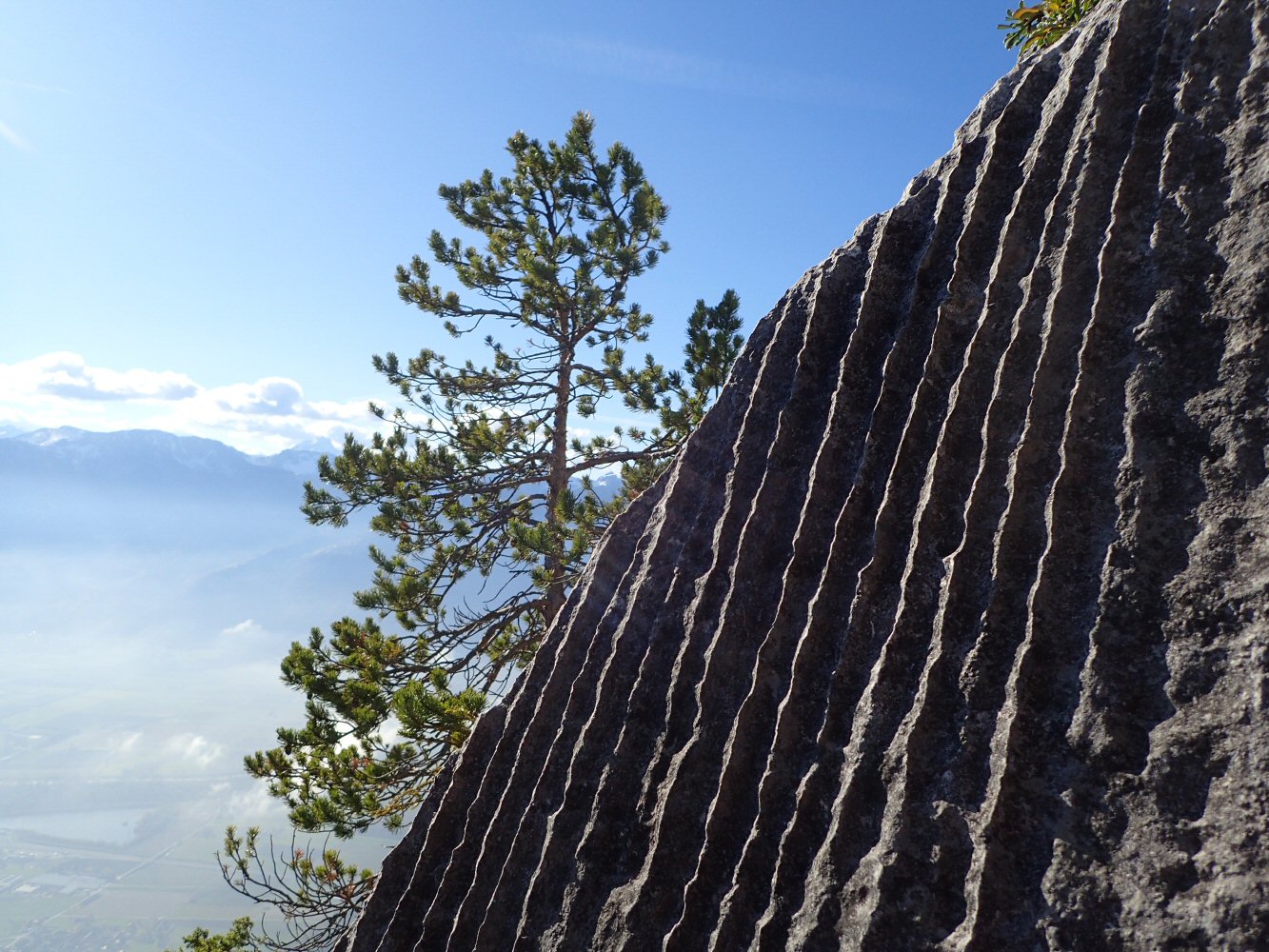 Sex des Sarses: Sortie de Secours