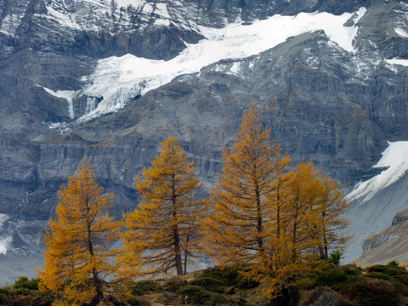 Cabane des Dents du Midi