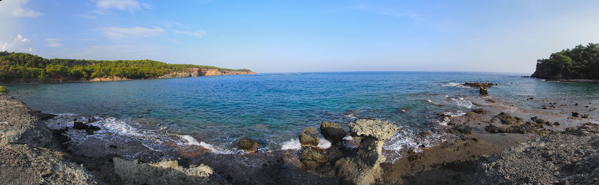 Pano phaselis