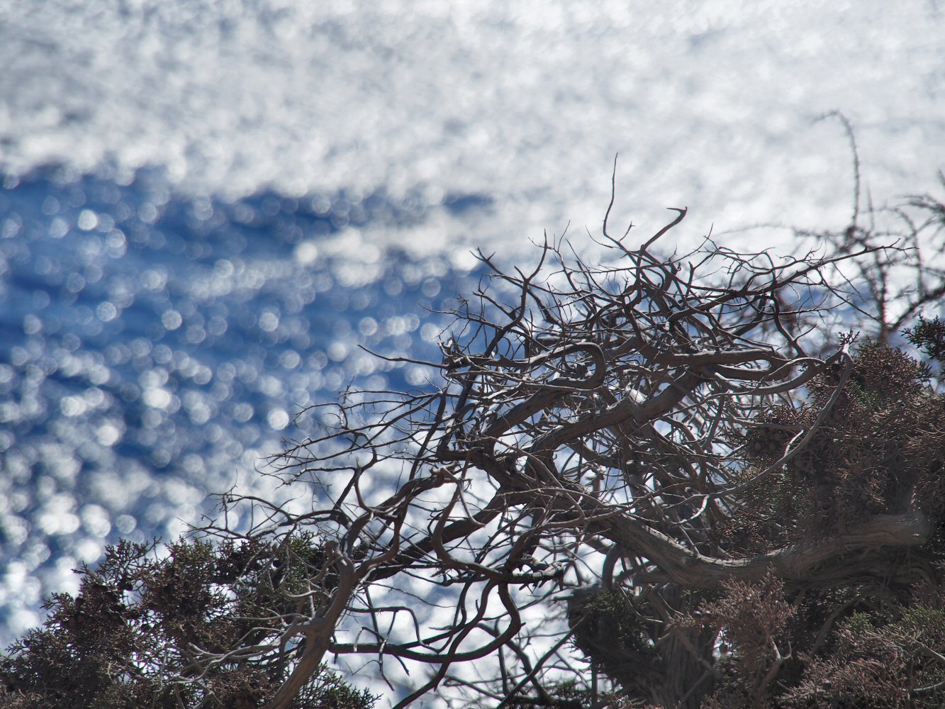 20251012 karpathos 120372