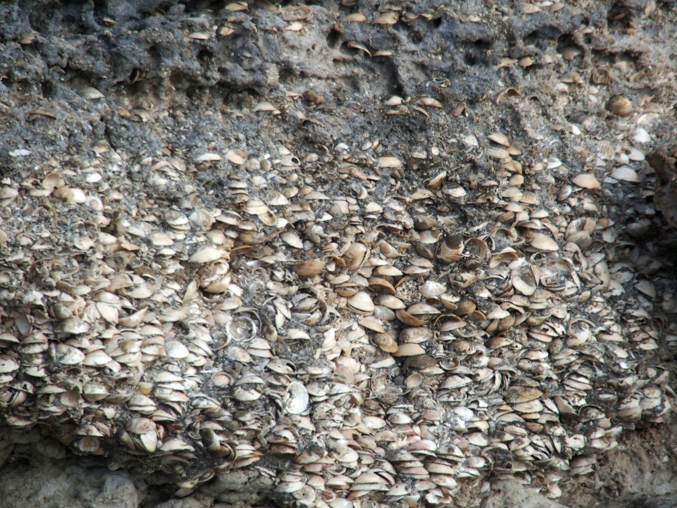 20251013 karpathos 130495