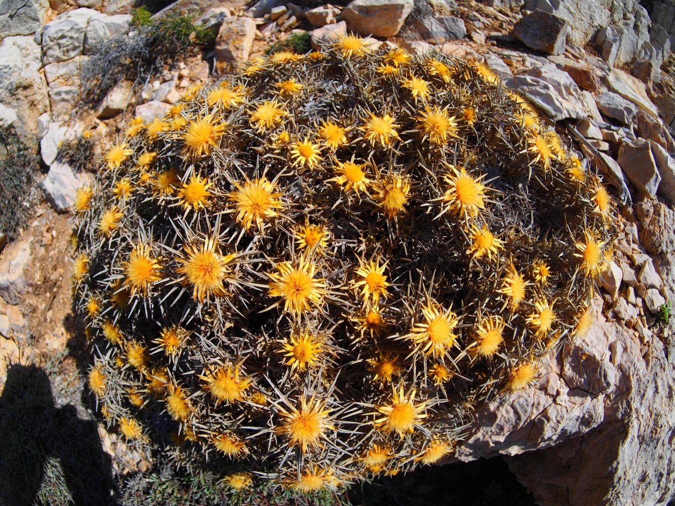 20251014 karpathos 140609