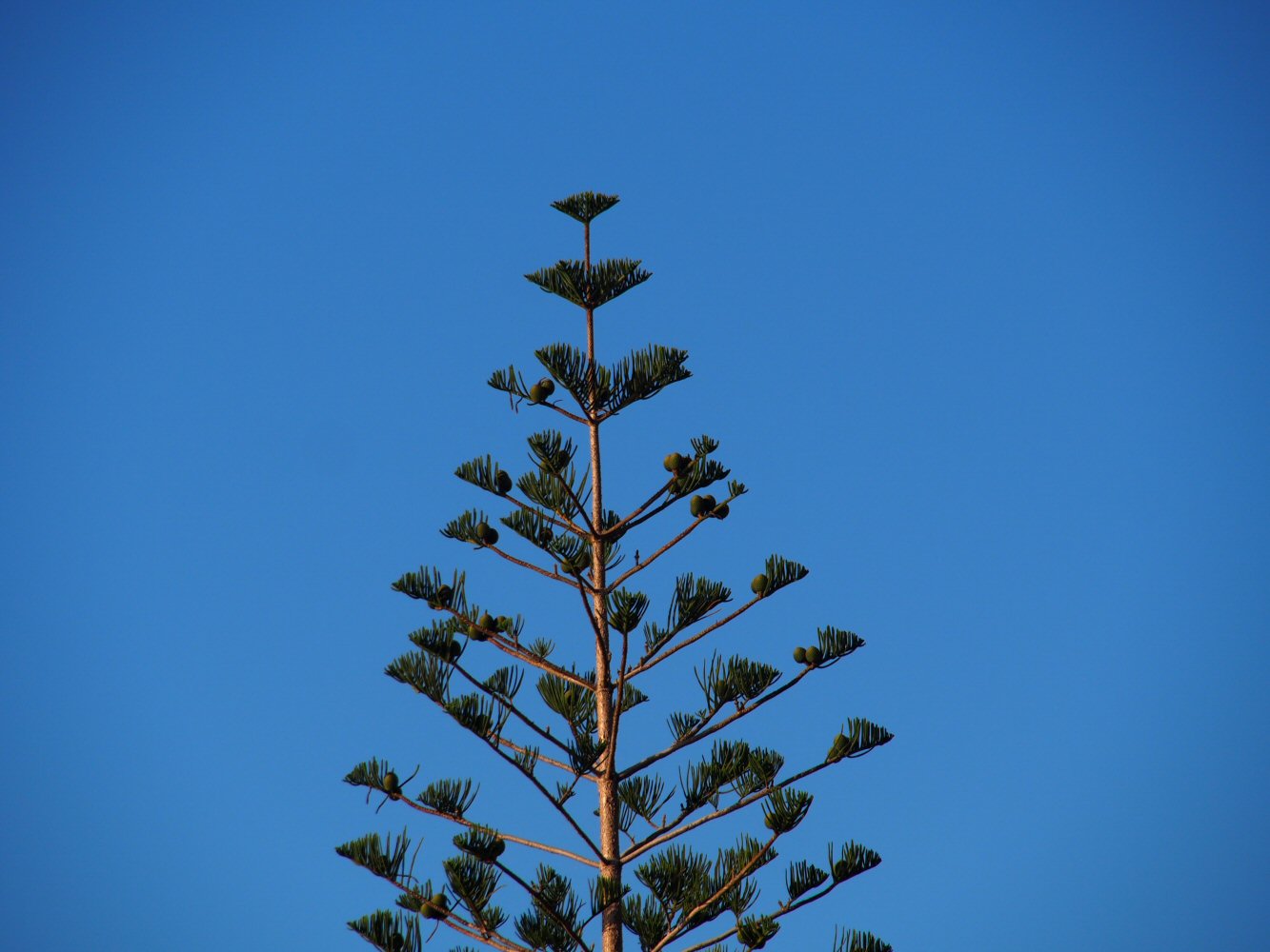 20251014 karpathos 140628