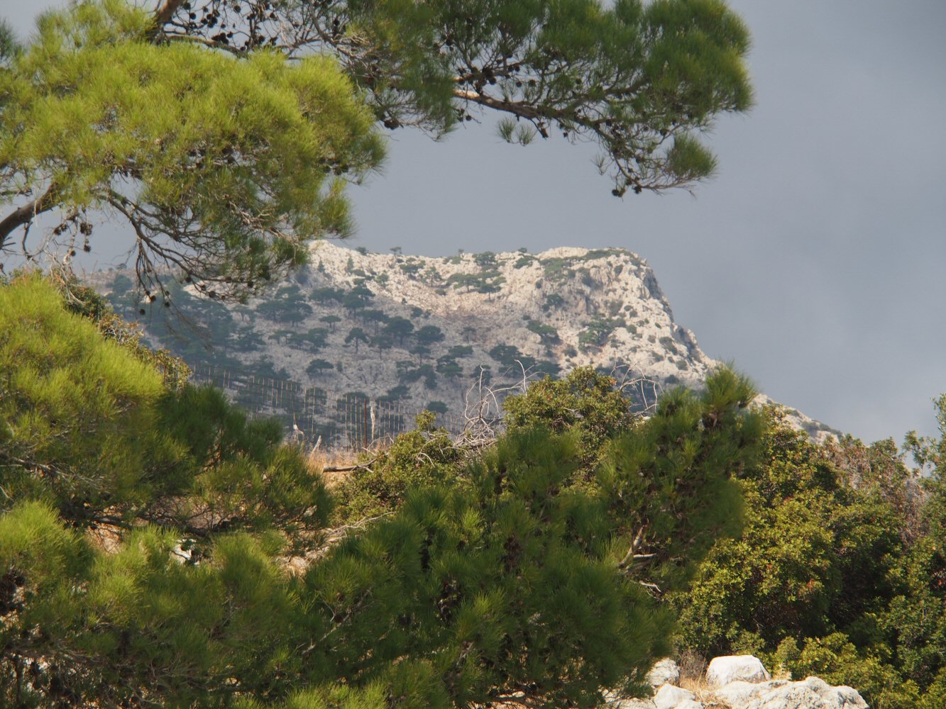 20251015 karpathos 150664