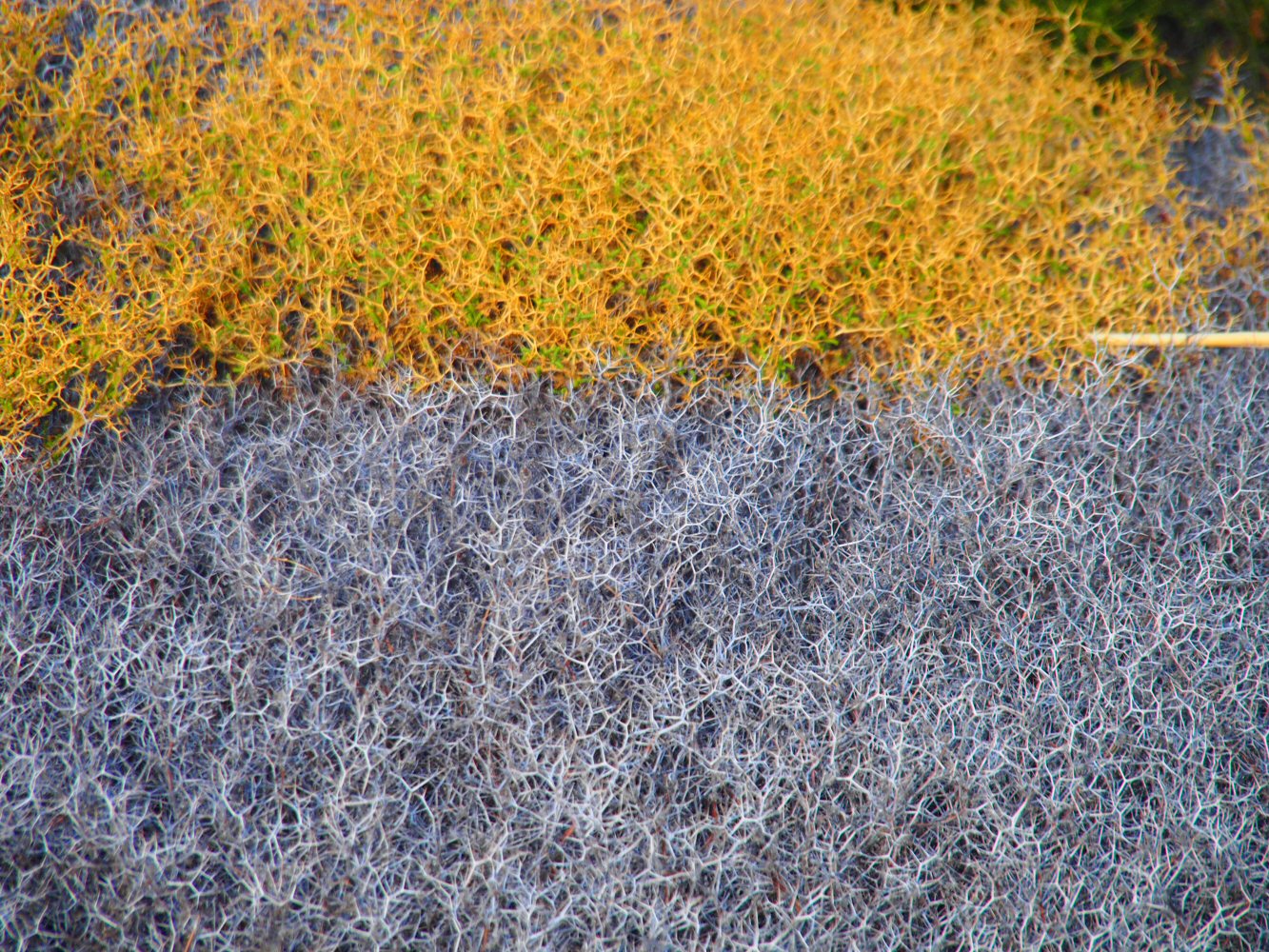 20251015 karpathos 150695