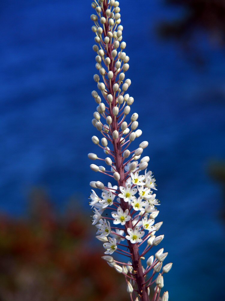 20251015 karpathos 150702