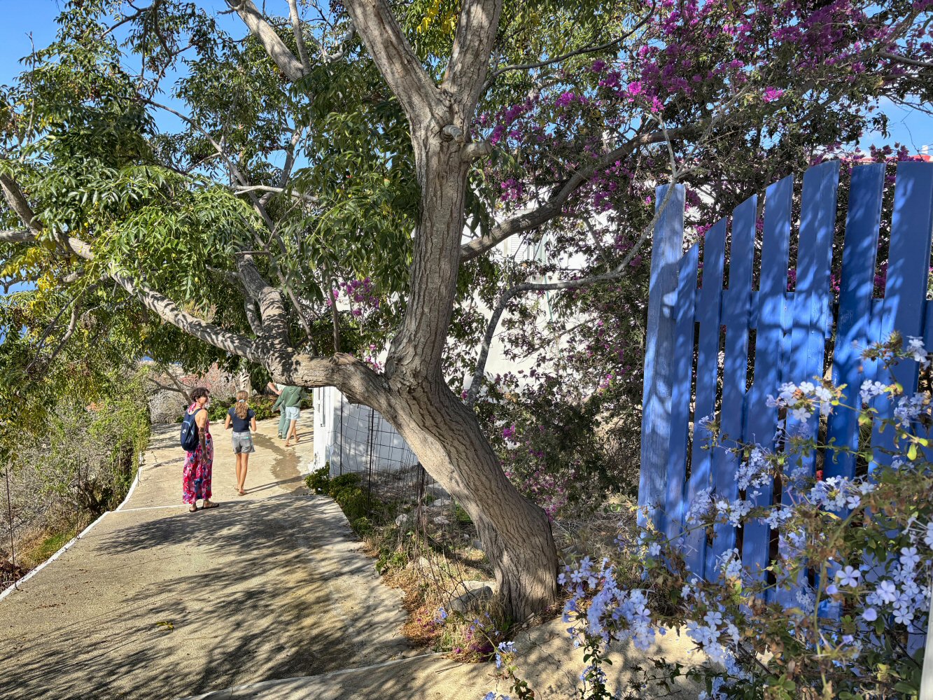 20251015 karpathos IV 8465