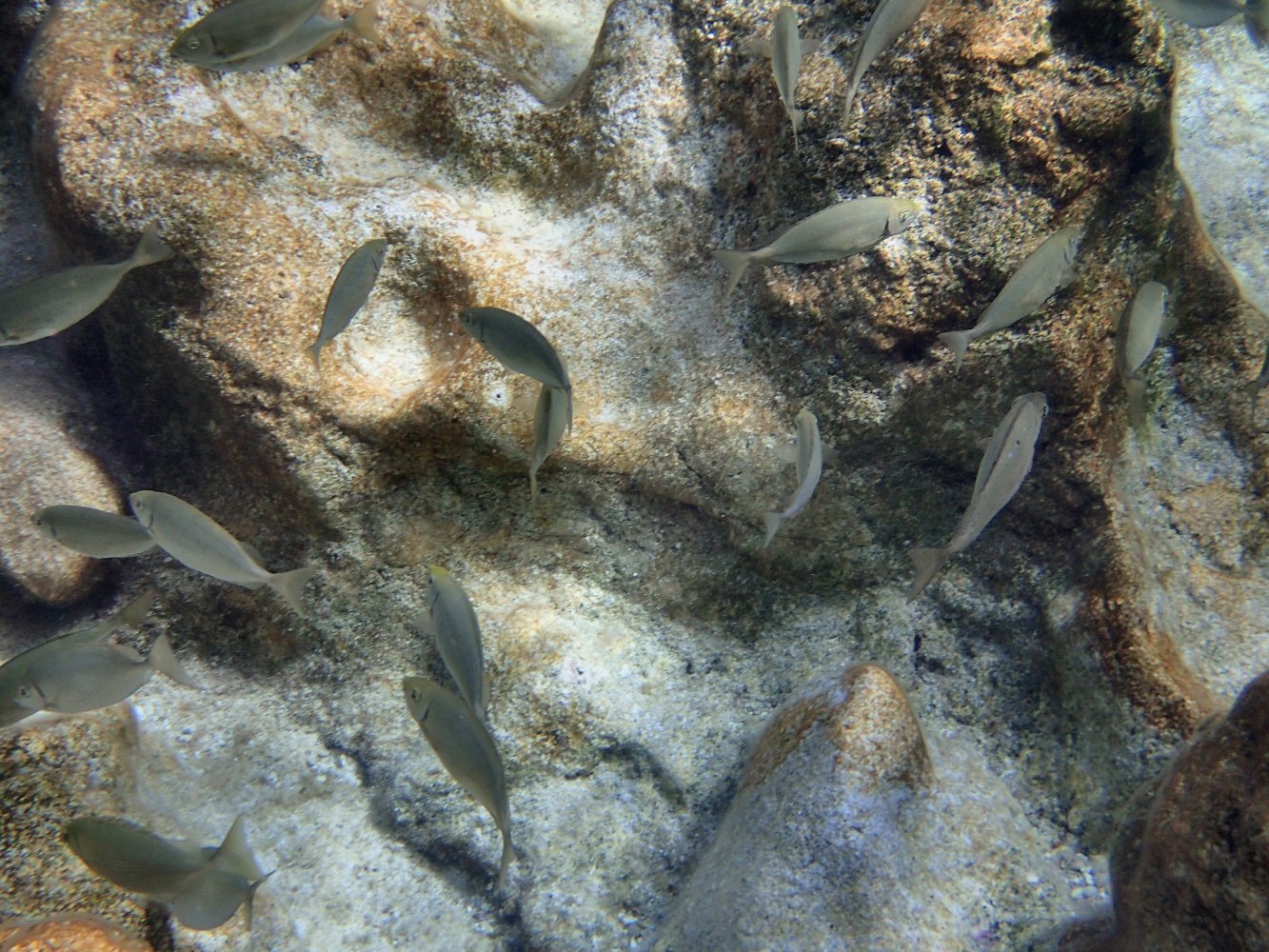 20251015 karpathos TG2 150031