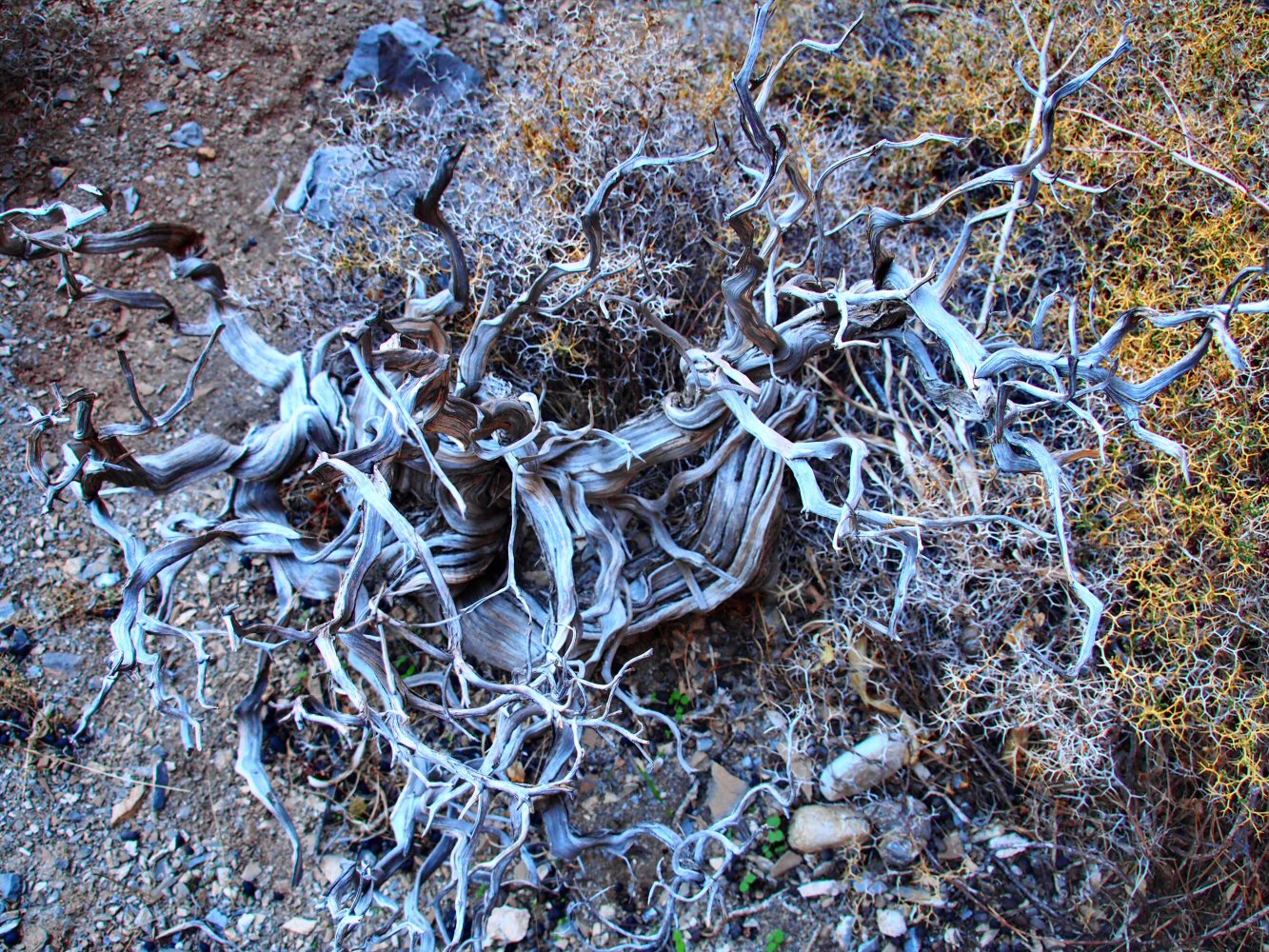 20251016 karpathos 160713